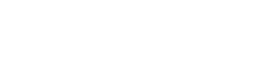 IX Legal